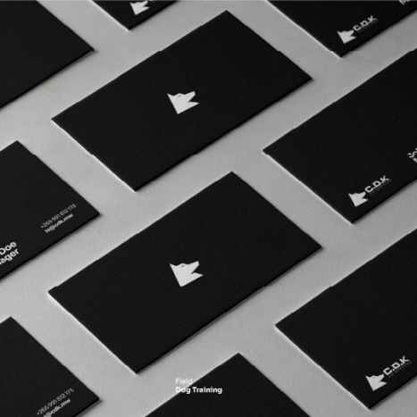 CDK branding collateral